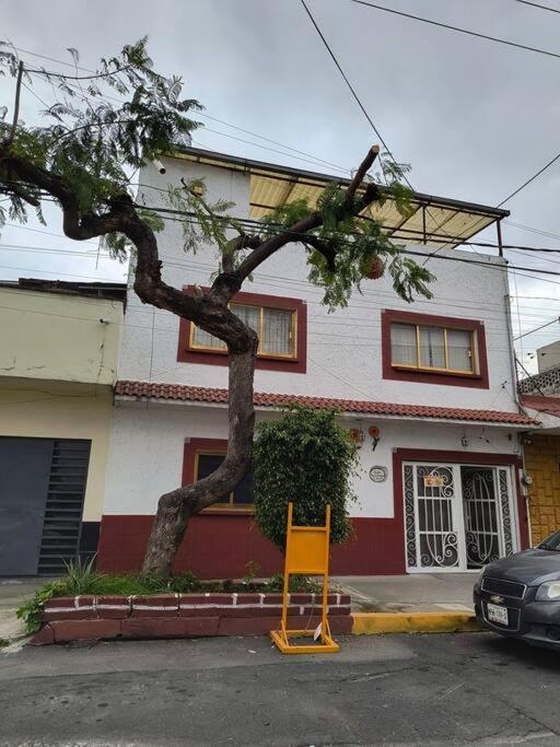 La Mas Comoda Y Elegante Appartement *
