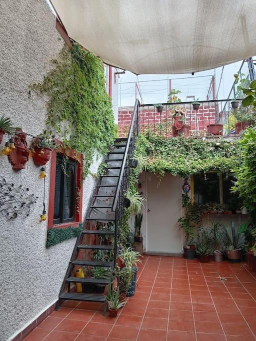 La Mas Comoda Y Elegante * Città del Messico