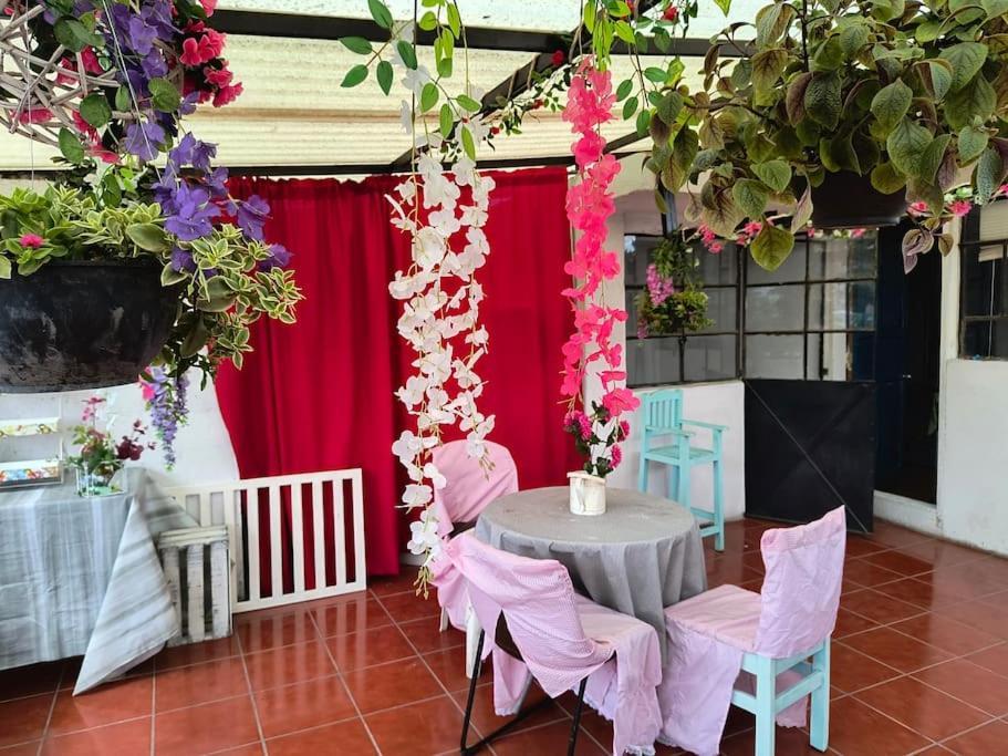 Appartement La Mas Comoda Y Elegante